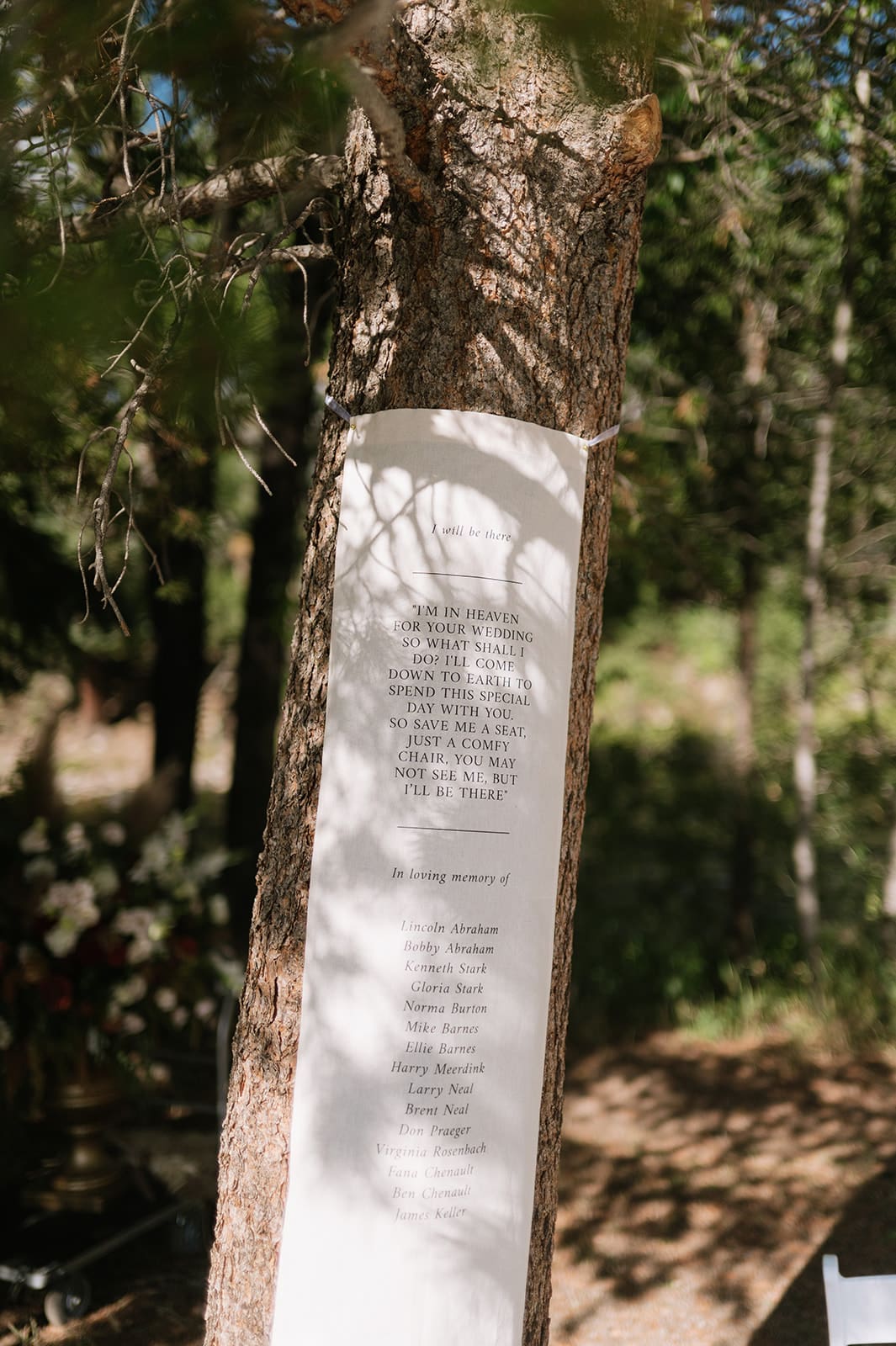 A tree with a white plaque attached, displaying a poem or text in black letters, surrounded by greenery in an outdoor setting.
