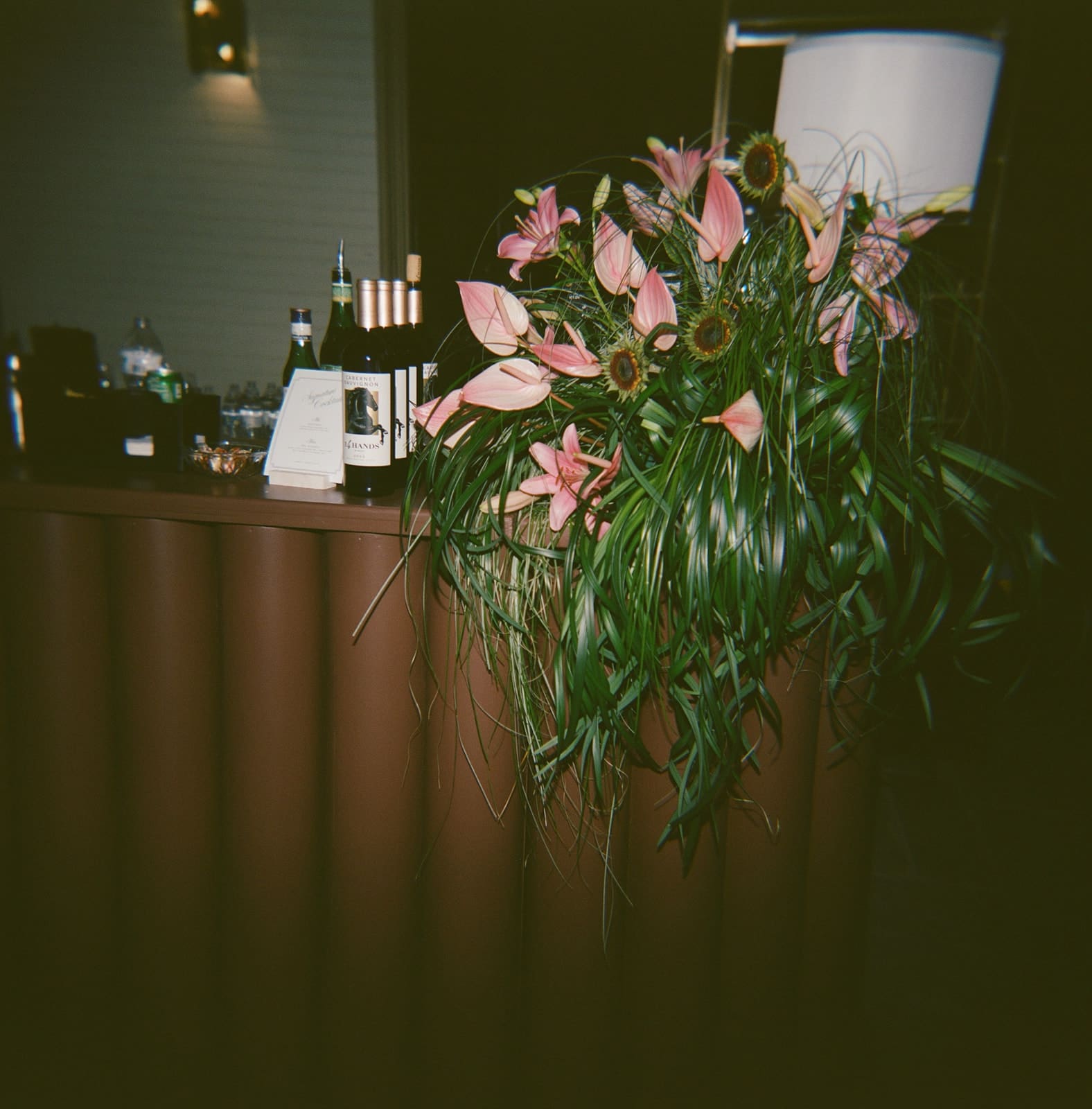 A Documentary Style Dallas Arboretum Wedding on Film