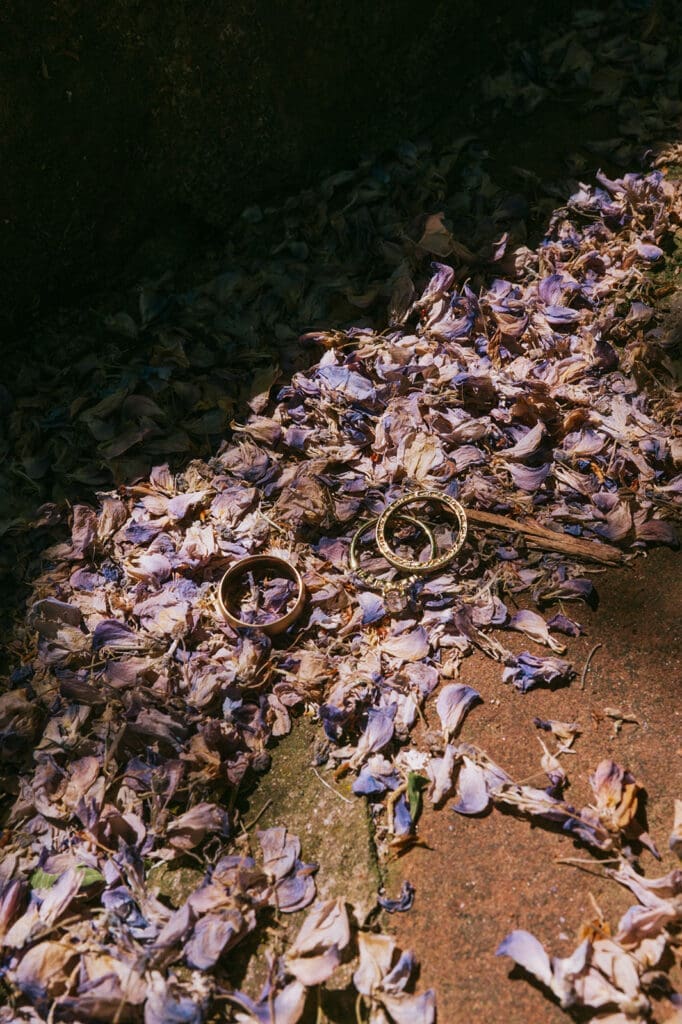 Two gold rings lying on the ground among scattered purple flower petals and dry leaves.