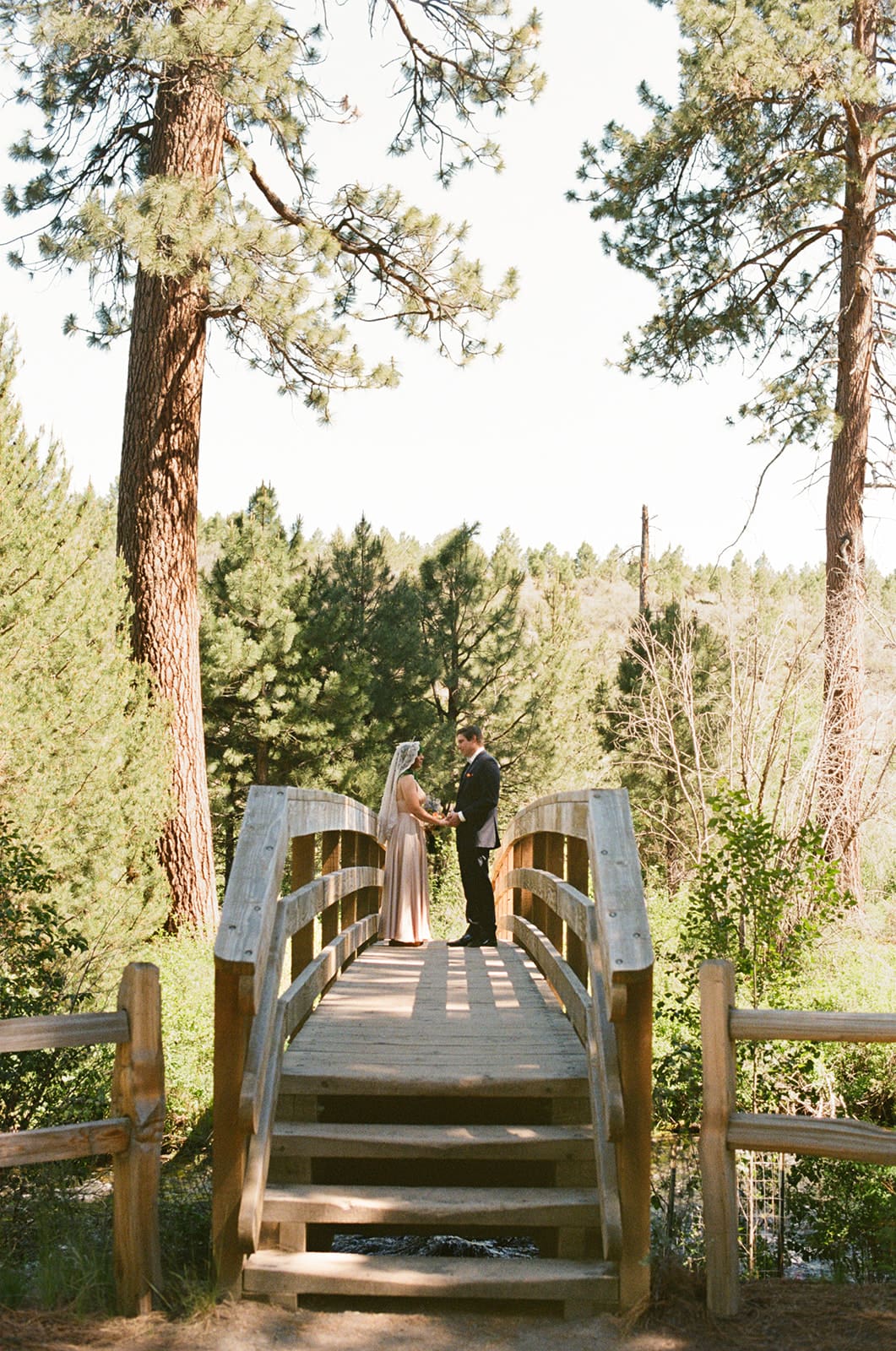 Two people stand facing each other on a wooden bridge surrounded by trees and greenery under a clear sky.