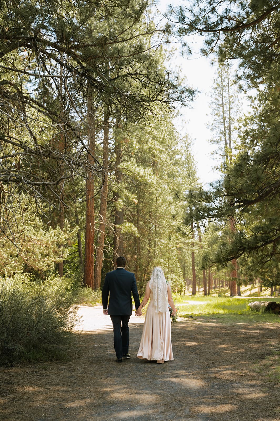A couple, seen from behind, walks hand in hand down a forest path on a sunny day.