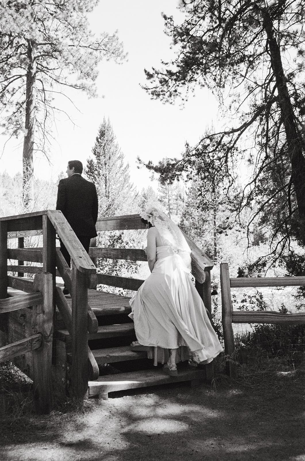 A couple, seen from behind, walks hand in hand down a forest path on a sunny day.